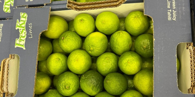 Limes Tahiti EXW price Rotterdam: 8.5 EUR/4.5 KG Brand: