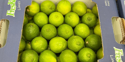 Limes Tahiti EXW price Rotterdam: 7 EUR/4.5 KG Brand: