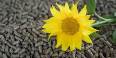 BAlaststoffreiches Sonnenblumenmehl – 50 % – für Wiederkäuer Die