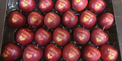 Продајем из хладњаче КА+Смарт Фресх, јабуке са натписима ВОЛИМ