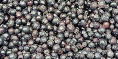 I have to sell forest berries of Ukraine origin: