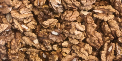 I will sell 60 kg of freshly shelled walnut