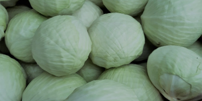 Hello, I will sell white market cabbage 1-4 kg