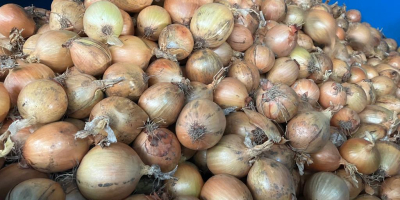 Hello, I have yellow onions for sale in the