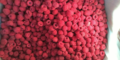 Bio Organic raspberry (the raspberry has an organic certificate