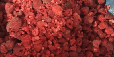 We sell raspberries of our own production and freezing.