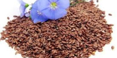 Oilseed flax Region of origin: Kazakhstan Delivery terms: DAP,