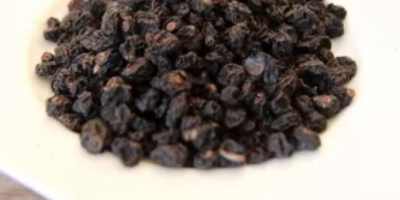 Dried blackcurrant, quantity 5 tons, harvest 2022