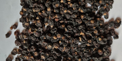 Ribes nero essiccato, quantità 5 tonnellate, raccolto 2022