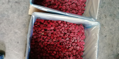 We offer raspberry varieties Vilamet and Miker in quality