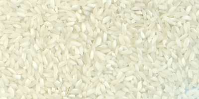 I WILL SELL RICE IN BB, the possibility of