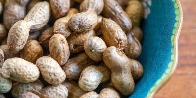 Hochwertige Erdnüsse im Großhandel + Redskin Erdnüsse Wenn Erdnüsse