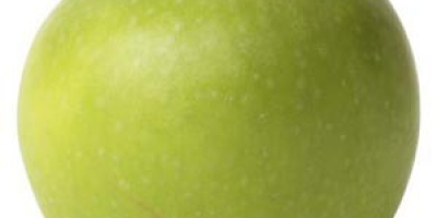 Свеже биране праве јабуке многих врста и сорти Додатне