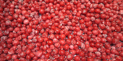 Предлагаме Idared, Jonaprince, Golden, Gala, Red Chif и други