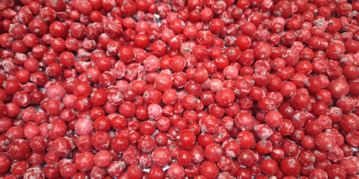 Предлагаме Idared, Jonaprince, Golden, Gala, Red Chif и други