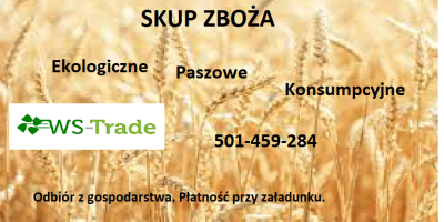 The WS-TRADE company will buy cereals, among others oats,