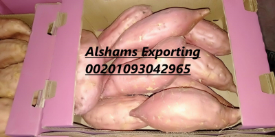 We are ALshams for general import and export .
