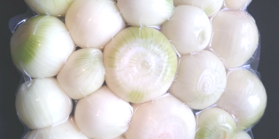 Peeled onion We produce peeled onions and peeled potatoes.