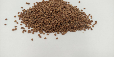 Good morning. I will sell millet, shelled millet from