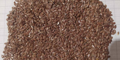 The company offers brown flaxseed for sale. Top quality.