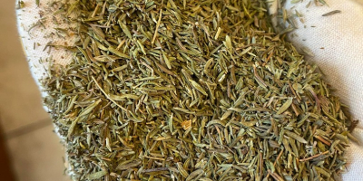 We offer dried thyme of Egyptian origin for sale.