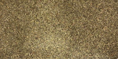 We offer dried thyme of Egyptian origin for sale.