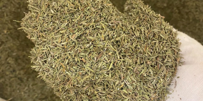 We offer dried thyme of Egyptian origin for sale.