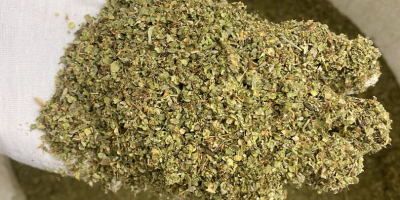 We offer marjoram of Egyptian origin for sale. 99%