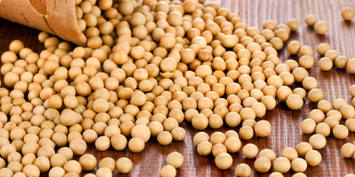 Top quality GMO/non-GMO soybeans, 2022 harvest, the product passed