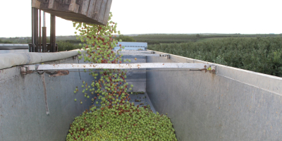Mat AGRI FRUITS liefert große Mengen Äpfel für Mousses,