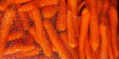 Ungewaschene Karotte, Herkunft Griechenland. Der Preis beträgt 0,50 €/kg.