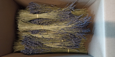 Lavender Dried bouquets pallet quantities. I will sell large