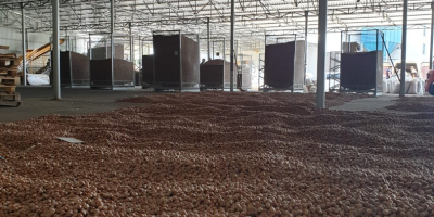 We offer high-quality organic hazelnut, cleaned, without husk. Minimum