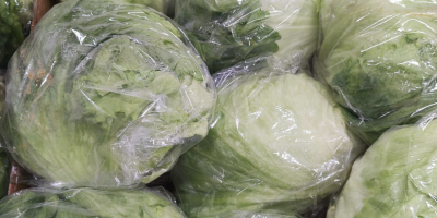 I&#39;m selling iceberg lettuce. Feces. 9 Country of origin