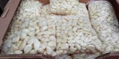 Sale of peeled garlic - cloves. Polish product, ideal