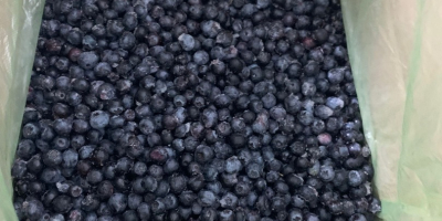 The blueberry manufacturer company offers berries frozen in Kraft