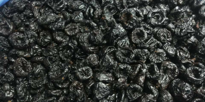 We selling prunes: Type: Stanley Moisture: from 18-35% With