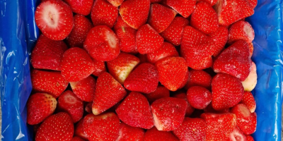 Ich werde gefrorene Erdbeeren verkaufen. Herkunftsland - Ägypten. -
