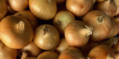 I will sell onions from Egypt. Caliber 5+ 15kg