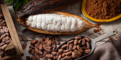 Предлагаем натуральные сушеные какао-бобы из тропических лесов Западной Африки,