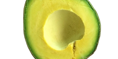 Avocado fruit has greenish or yellowish flesh with a