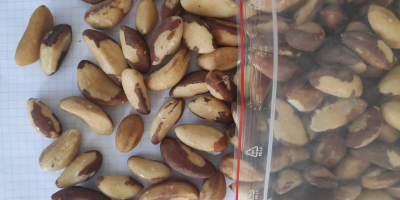Brazil nuts medium size and broken. packed in big