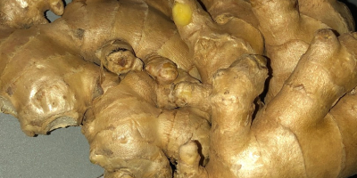  Discover the power of fresh ginger with our