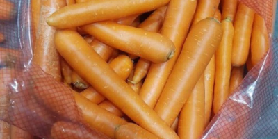 Най-качествените моркови. Гръцко производство контакт чрез