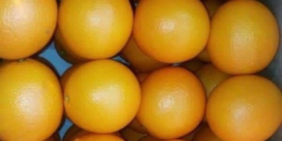 Orange valencia maroc late cat 1 Tipo di imballo: