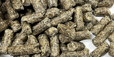 Марцулести Цомби СА нуди житарице за извоз: • пшеницу