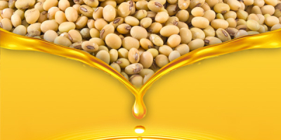 MarculestiCombi SA предлага и зърнени култури за износ: •пшеница