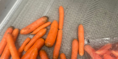 Hallo, ich verkaufe junge Karotten in Plastiktüten zum Tausch