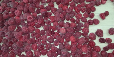 I am selling raspberries of the Vilamet variety of
