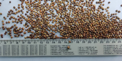 Hello.I offer €435 red millet 350t €375 for yellow